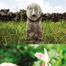 들녘목장 이미지