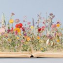 페이퍼 플라워아트 이미지