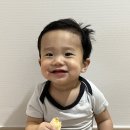 혜원동물병원 | 아직도 더운 8월일상 모아모아