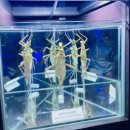 수원 국립농업박물관 관람후기 1(주차,예약,곤충관,식물관,농업관)