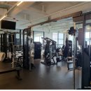 바모스짐 이미지