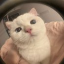 타오름달 이미지