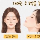 니트성형외과의원 이미지