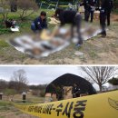 사체농장 이미지