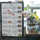 푸디스오아시스