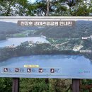 콩매아 Daum카페