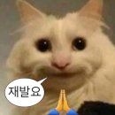 삼양떡방앗간 | 7월에는 무엇을 했나