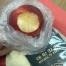 695 | [중국남방항공 대련 왕복] CZ686 CZ695 탑승 후기, 체크인 방법 | 대련공항 출국 시 주의사항