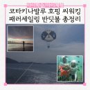 코타키나발루 호핑투어 패러세일링 씨워킹 반딧불투어 총정리