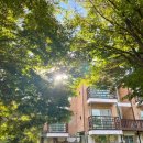 스테이무릉도원 | 강원도 영월 스테이 무릉도원 자연 속에서 힐링한 감성 숙소 후기