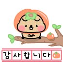 안양동물병원 이미지