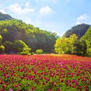 이렇게 아름다운 곳이 매력적인 국내 여행지 이미지