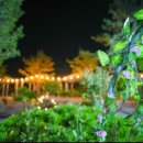 무릉도원면-15 이미지