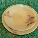 글라스파파 이미지