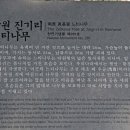 남원 진기리 느티나무 이미지