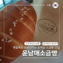 548 | 평일 오픈런하는 호매실 소금빵 맛집 윤남매소금빵 내돈내산 솔직후기