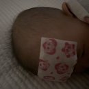 복사골작은도서관 | 스파두이 / 4개월접종 / 사경 / 마포 복사골 작은 도서관 책 대여 / 뒤집기 성공 / 여름템 - 태열베개...