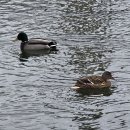 살곶이길 이미지