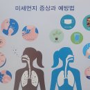 춘천시청 이미지