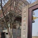 안성맞춤랜드공원11 | 4월 서울근교갈만한곳 김포한강야생조류생태공원 봄나들이 드라이브코스 추천