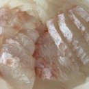 회 달인 이미지