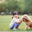 동물병원 누리에뜰 이미지