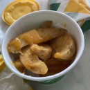 바이크애견 이미지