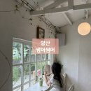 카페썸머 | <양산> 양산카페 썸머썸머 내돈내산 솔직후기, 분위기 좋은 물금카페 추천 /주차장,메뉴