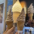 죠이 | 코엑스에서 즐기는 구슬 아이스크림과 소프트아이스크림 더죠이 후기