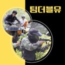 팀더블유 이미지