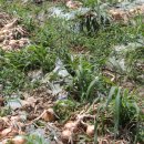 요셉 농장 이미지