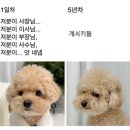 [내돈내산/강남역회식장소추천] 딤딤덕