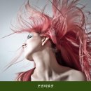 모범이발관 네이버블로그