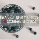 엔잭타커피