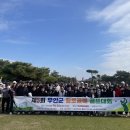무안-5 이미지