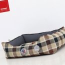 브라운퍼피 이미지