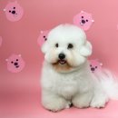 반야시스터 이미지