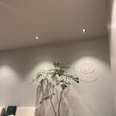 차오르다의원 이미지