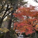 함께 떠나는 일본어 여행 이미지