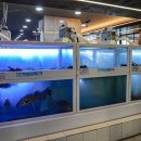 나룻터횟집 - 울주군 강양길 121-8 | 나룻터횟집