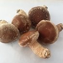 서암리농장 이미지