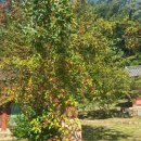 후정해수욕장 이미지