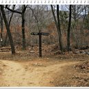 숲속나들이길 이미지