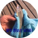 천보산낚시터