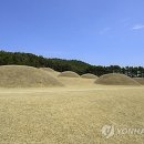 능산리고분군아트뮤지엄 이미지