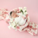 미네뜨 | 부산 출장 본아트 뉴본 촬영 후기｜동래구 미네뜨 뉴본 신생아 사진