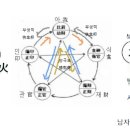 신금 일간의 12지생 특징을보다. 이미지