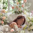 W4. 플라워디렉팅 르꺄도 후기 (만족 10000%💗)