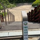 자생 | 속초 여행 설악산 자생식물원 뚜벅이 방문 후기