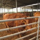 검바우농장 이미지